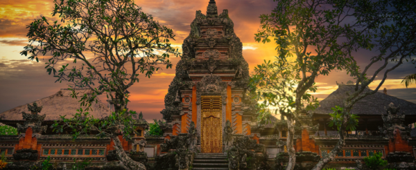 酒店內自由活動(依據每週課程表提供免費瑜珈、泰拳等可自由參加)→烏布市區觀光 (烏布皇宮 / 烏布傳統市集 / 髒鴨風味餐 / 猴林路)→庫塔洋人街