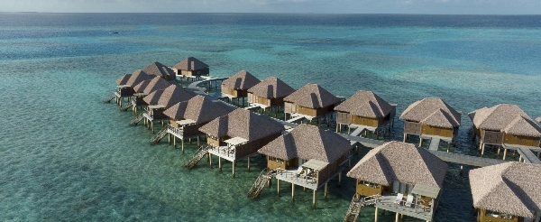 DAY3 渡假島自由活動 (AI餐飲計畫)